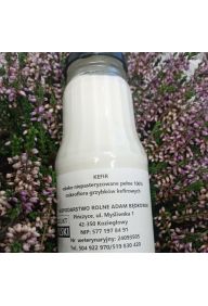 Kefir 0,30l