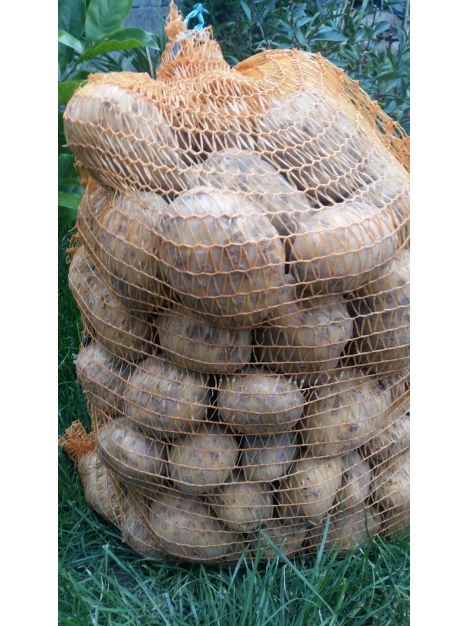 Ziemniaki Ekologiczne Certyfikowane