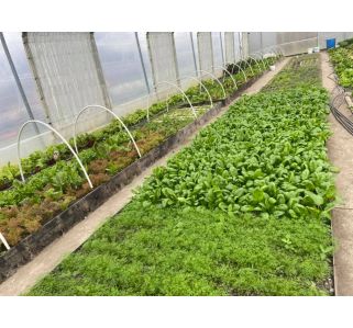 Gospodarstwo Ogrodnicze NATURA