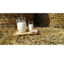 Mleko Świeże 1l