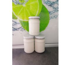 Jogurt typy Greckiego 0,33l